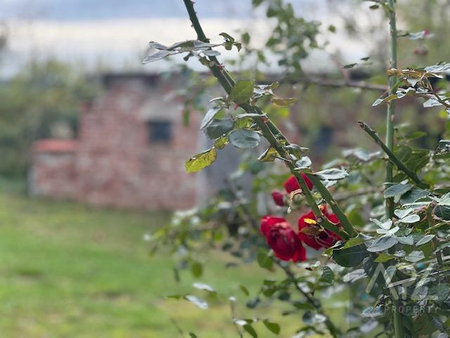 Dom Karcino gm. Kołobrzeg