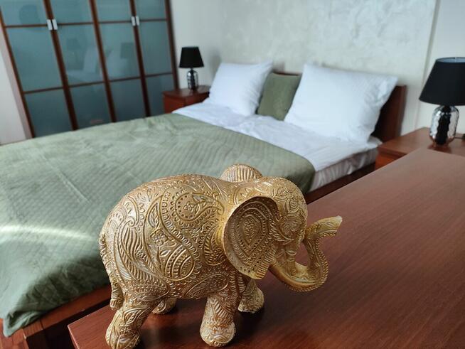 Ładne mieszkanie w ładnej kamienicy