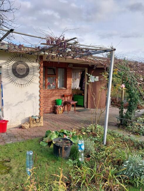 Sprzedam ogródek działkowy, działka ROD