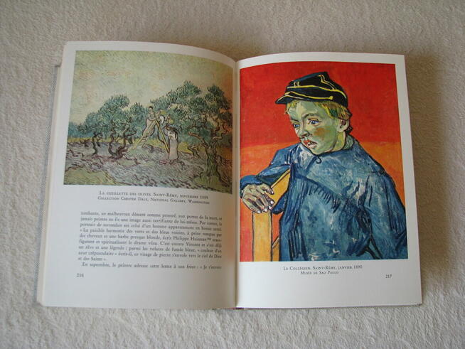 Van Gogh, Pierre Cabanne, publikacja w języku francuskim
