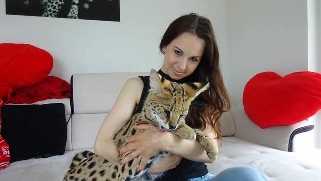 Behawiorysta I Trener Psów Paula Dzikowicz-Proć Szczecin