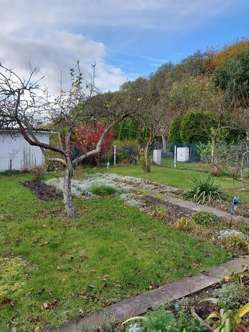 Sprzedam ogródek działkowy, działka ROD