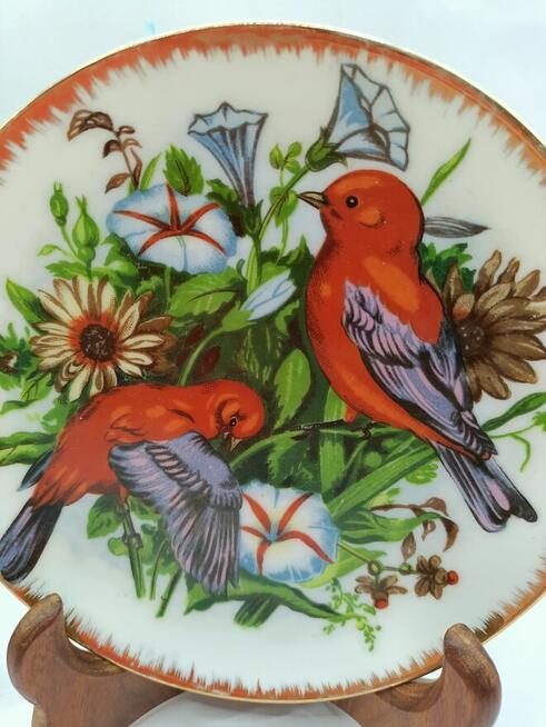 Dwa razy talerz kolekcjonerski ptaki na kwiatowym łąkowym tl