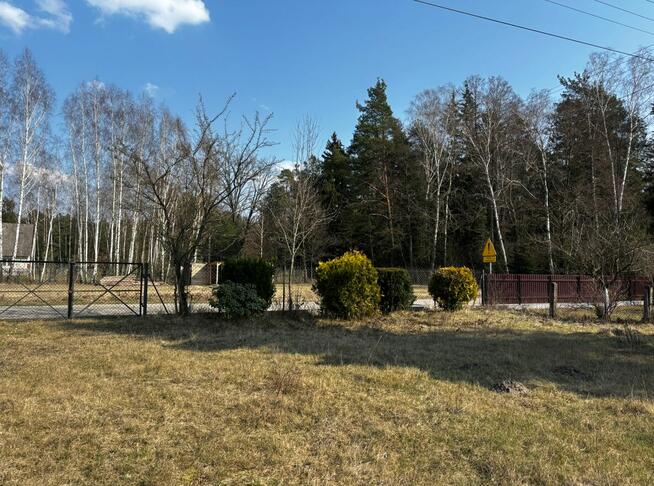 Klimatyczny dom pod lasem, OCIĘTE, 230 000 zł