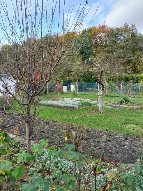 Sprzedam ogródek działkowy, działka ROD