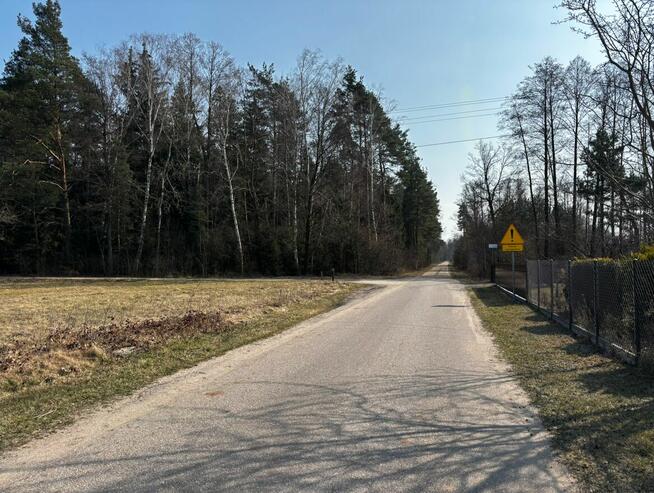 Klimatyczny dom pod lasem, OCIĘTE, 230 000 zł