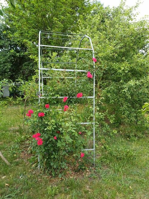 sprzedam ogródek działkowy