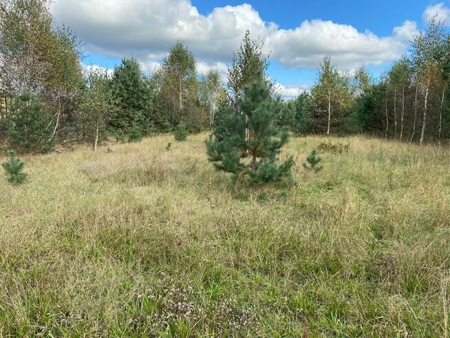 Działka przemysłowo-usługowa