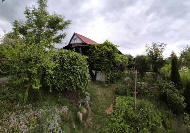 Działka ROD Zarzeczewo