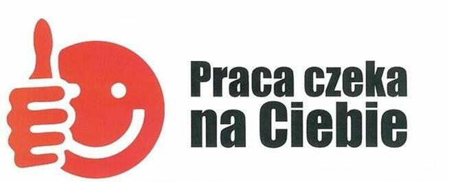 Zatrudnię sprzedawcę do prowadzenia stoiska w grudniu 2025r