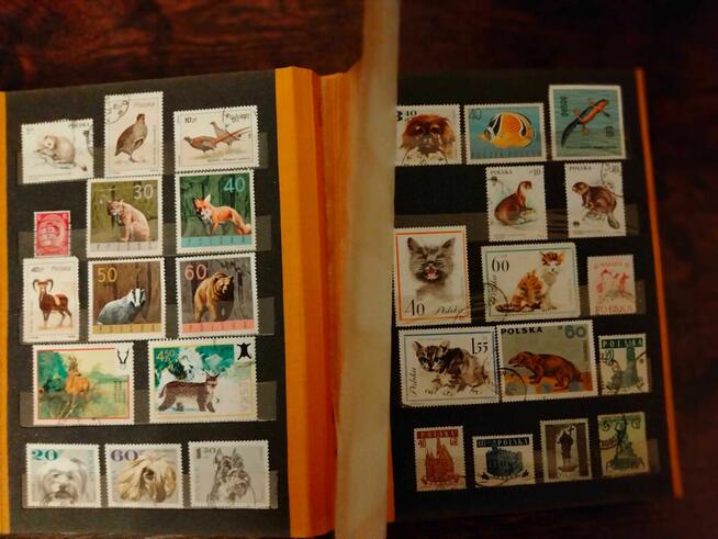 Niesamowita kolekcja znaczków pocztowych