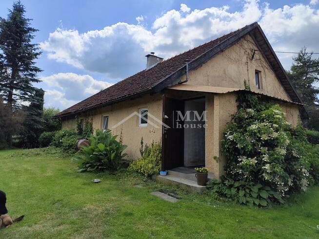 Urokliwe siedlisko na sprzedaż w sercu Warmii .