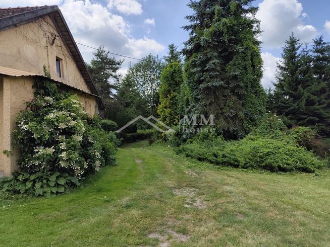 Urokliwe siedlisko na sprzedaż w sercu Warmii .