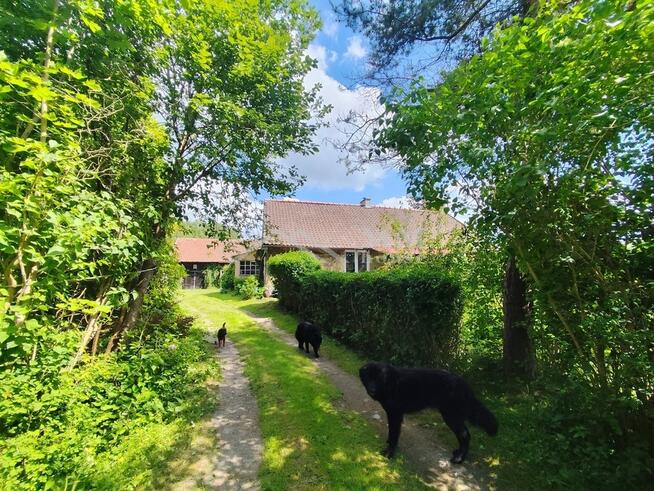 Urokliwe siedlisko na sprzedaż w sercu Warmii .