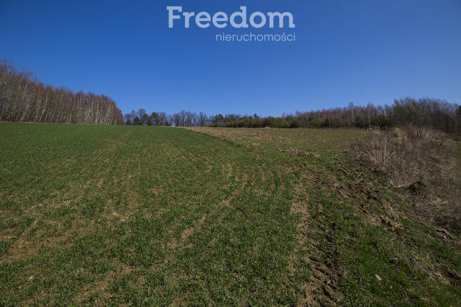 Działka rekreacyjna 33,17 ar Harta