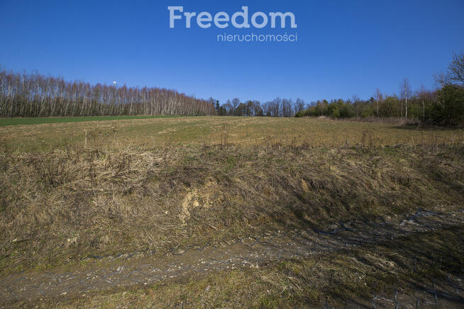 Działka rekreacyjna 33,17 ar Harta