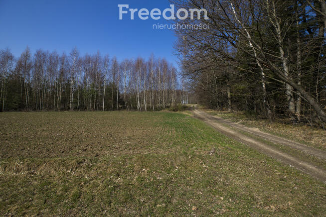 Działka rekreacyjna 33,17 ar Harta