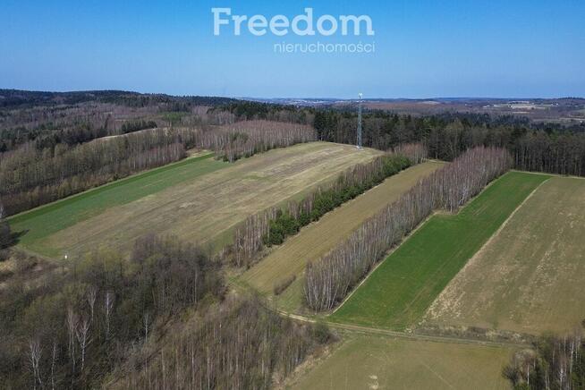 Działka rekreacyjna 33,17 ar Harta