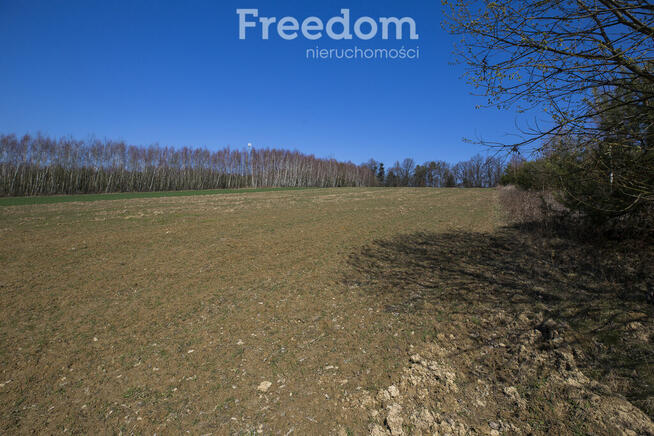 Działka rekreacyjna 33,17 ar Harta