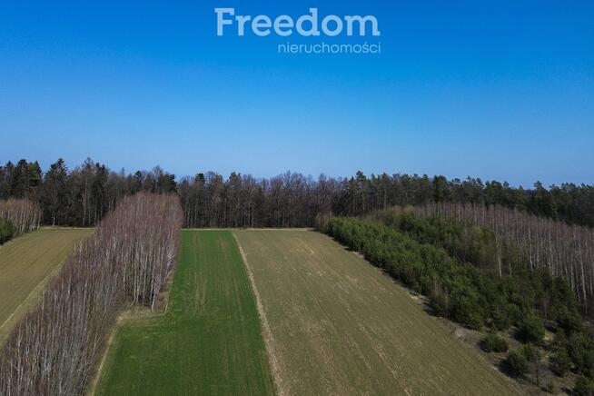 Działka rekreacyjna 33,17 ar Harta