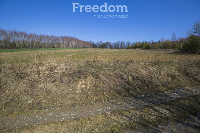 Działka rekreacyjna 33,17 ar Harta