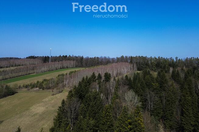 Widokowa działka 46 ar, Harta, gm. Dynów