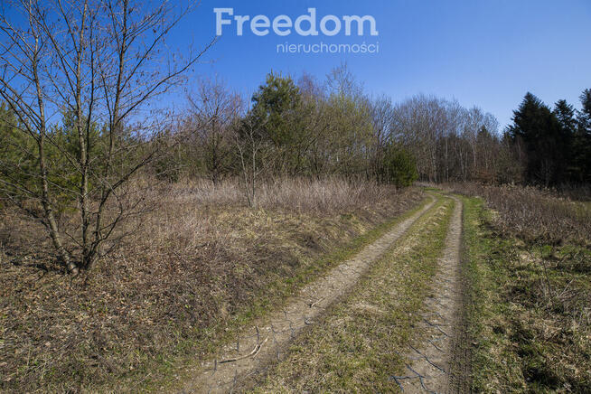 Widokowa działka 46 ar, Harta, gm. Dynów