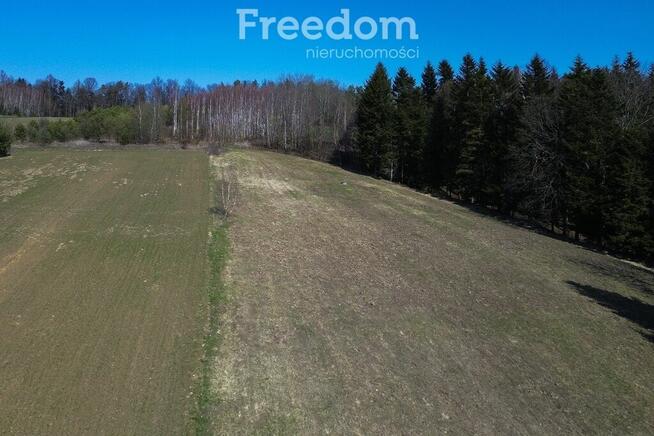 Widokowa działka 46 ar, Harta, gm. Dynów