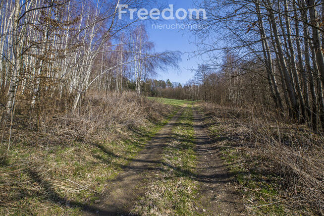 Widokowa działka 46 ar, Harta, gm. Dynów