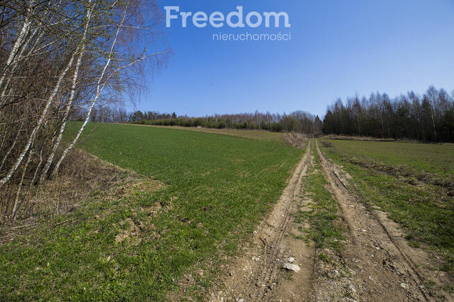 Widokowa działka 46 ar, Harta, gm. Dynów