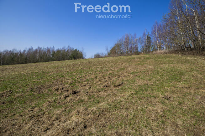 Widokowa działka 46 ar, Harta, gm. Dynów