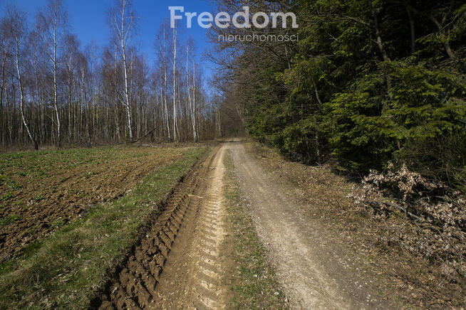 Widokowa działka 46 ar, Harta, gm. Dynów