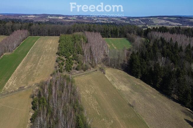 Widokowa działka 46 ar, Harta, gm. Dynów