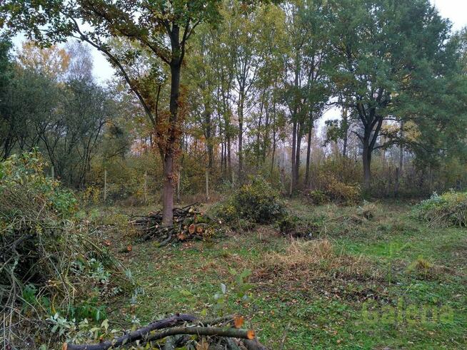 Działka budowlana 15 km od Dziwnówka