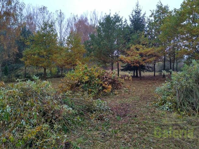 Działka budowlana 15 km od Dziwnówka