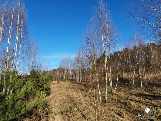 Działka rolna Marózek gm. Olsztynek