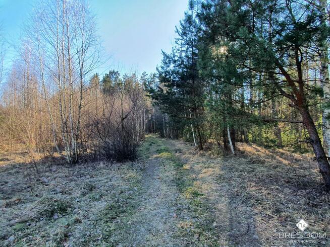 Działka rolna Marózek gm. Olsztynek