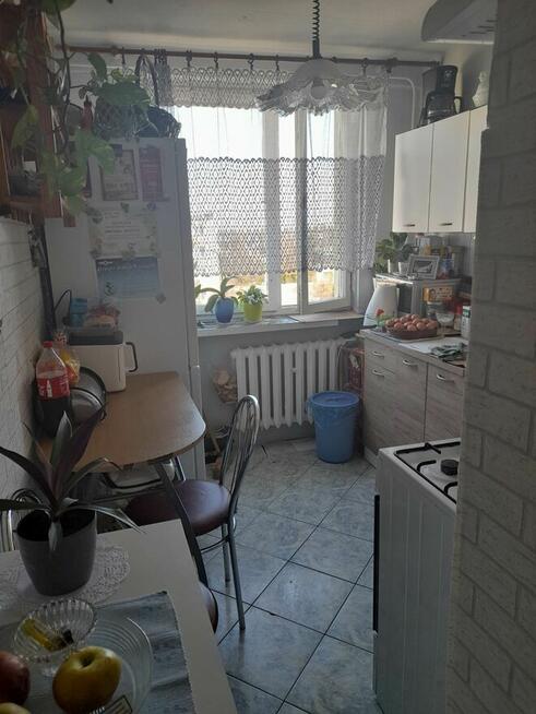 Sprzedam mieszkanie 38m w centrum Płońska