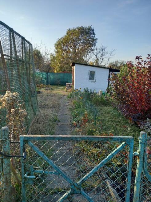 sprzedam ogródek działkowy