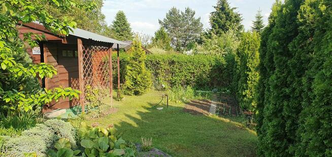 Działka ROD z potencjałem