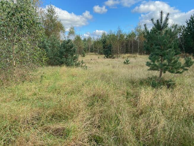 Działka przemysłowo-usługowa