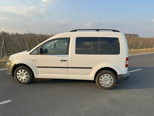 VW Caddy 1,6 TDI 75 KM 5-Osobowy