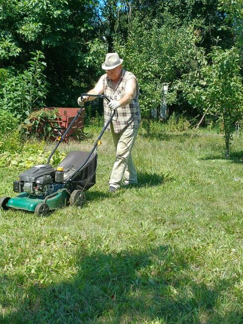sprzedam ogródek działkowy