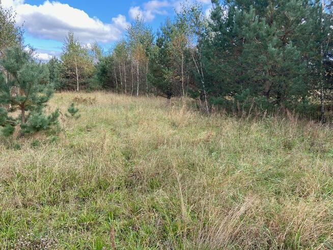 Działka przemysłowo-usługowa