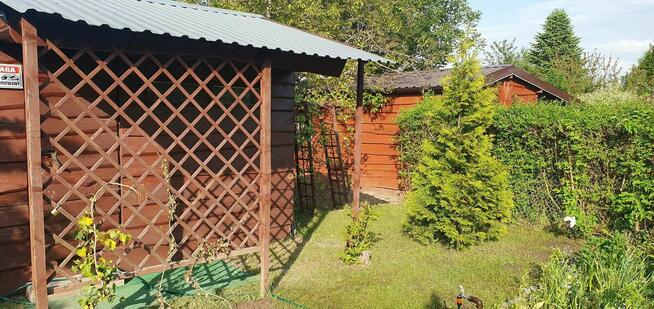 Działka ROD z potencjałem