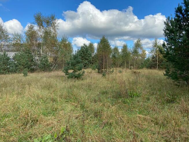 Działka przemysłowo-usługowa