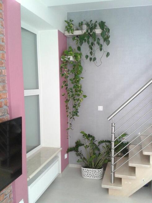 REMONTY Zduńska Wola