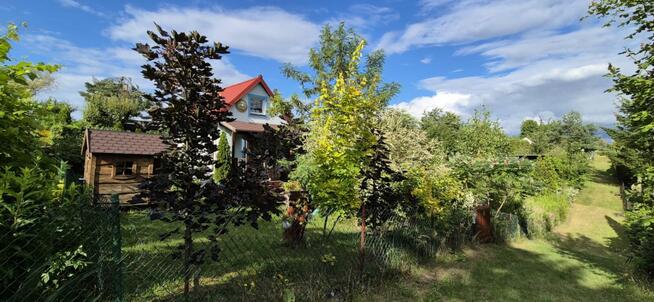 Działka ROD Zarzeczewo