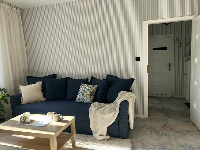 DO WYNAJĘCIA MIESZKANIE 33M2 PARTER W CWNTRUM PŁOCKA