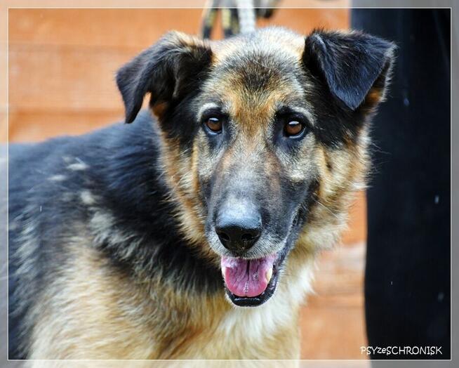 Orson – czy można mieć z życia coś więcej niż podwórze?